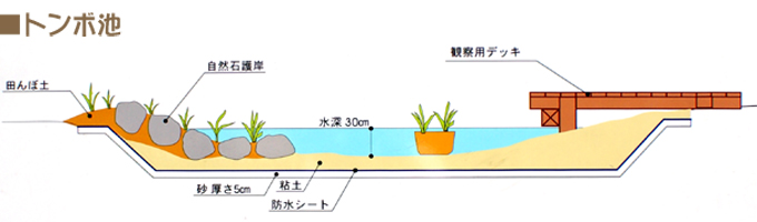 facilities_kasei-park_07