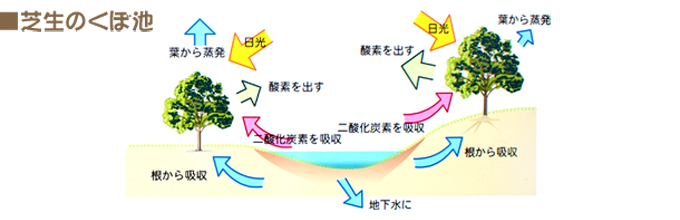 facilities_kasei-park_08