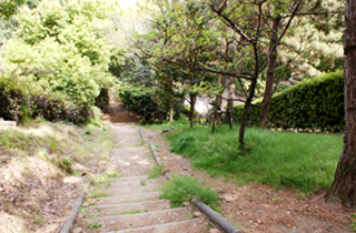 kasei-park_facilities_02_17