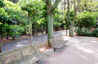 kasei-park_facilities_03_19