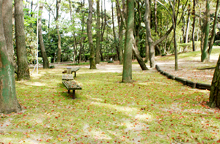 kasei-park_facilities_03_21